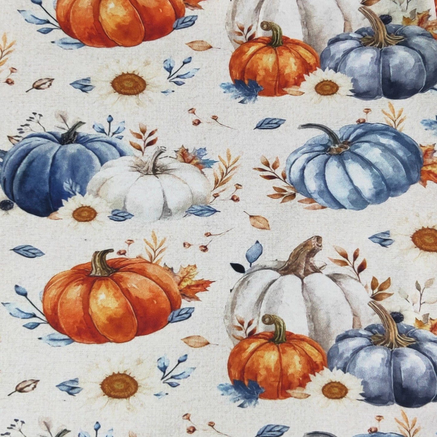 Denim Pumpkin Set